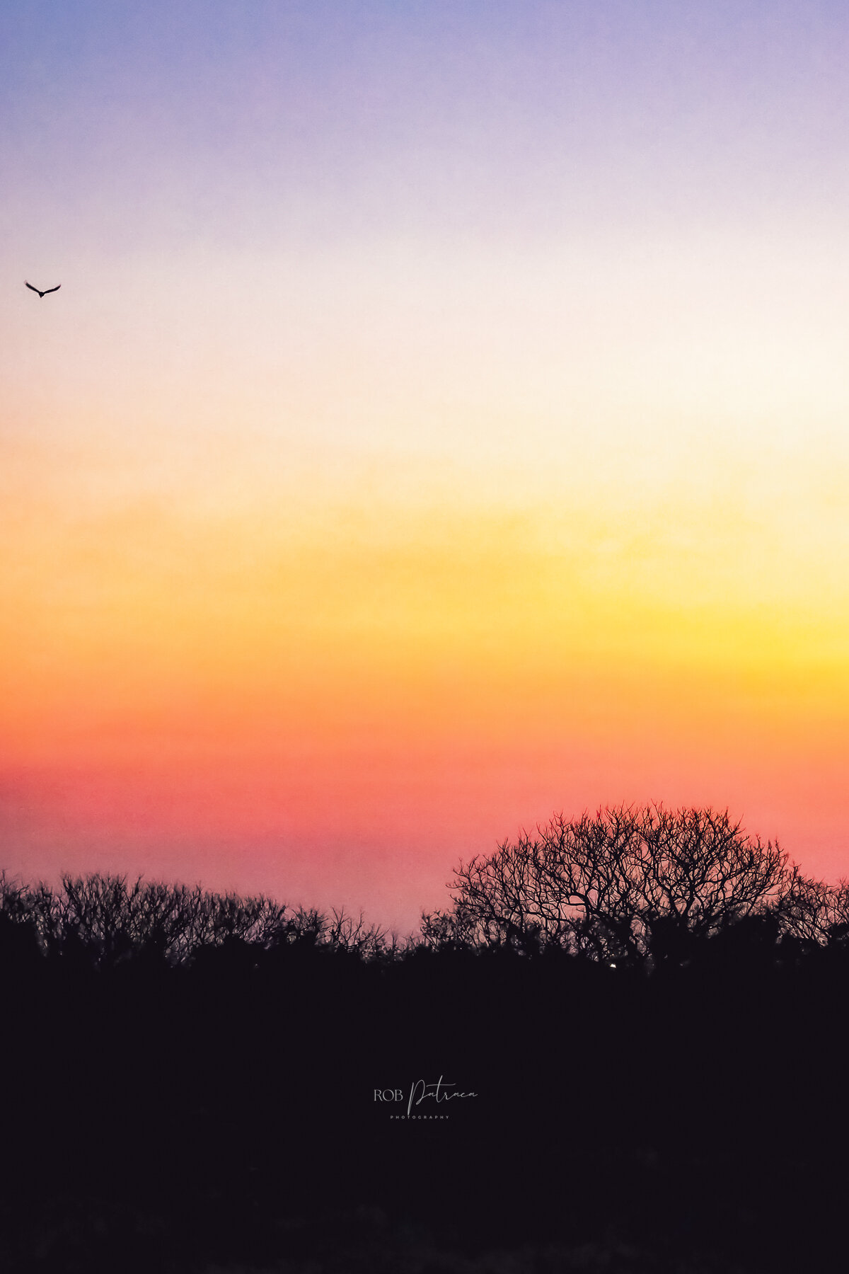 Amanecer